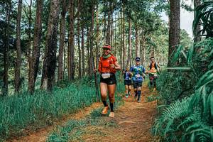 BIB: 
                            <button type="button" onclick="openModal(25751858)" class="btn btn-primary btn-sm float-right btn-popup" data-toggle="modal" data-target=".modal-high-quality">
                        <i class="fas fa-shopping-cart"></i> Add to Cart
                    </button>
                                            <button type="button" onclick="isThisMe(25751858, true)" class="btn btn-success btn-sm float-right btn-popup btn-isme hidden" data-toggle="tooltip" data-placement="bottom" title="นี่คือรูปของคุณใช่ไหม คลิกที่นี่เพื่อเอาเข้าอัลบั้ม">
                        <i class="fas fa-plus"></i> Add to album
                    </button>
                    <button type="button" onclick="isThisMe(25751858, false)" class="btn btn-warning btn-sm float-right btn-popup btn-isnotme hidden">
                        <i class="fas fa-ban"></i> Remove from album
                    </button>